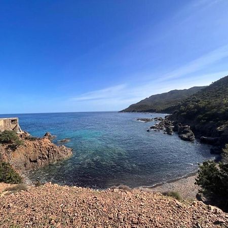 Villa Casa Depau Tertenìa Esterno foto